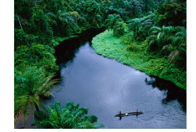 Photo: Waterway in a Congo forest