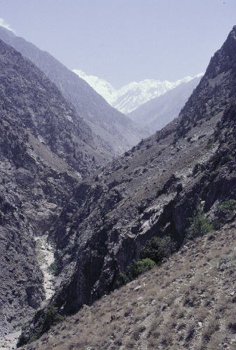 Diamir Valley