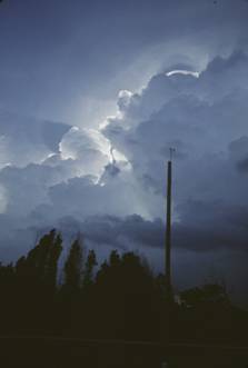 fla_cumulus