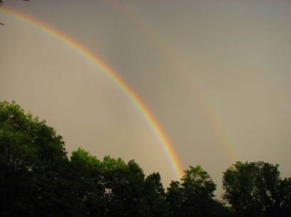 rainbow_mdfd