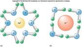 f5-7_water_and_salt_bon