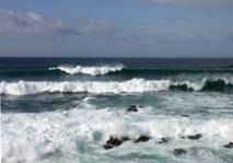 surf