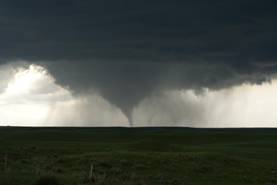 Rachel_Tornado