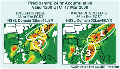 An example of the effect of a physics parameterization perturbation on a 24-hour Eta precipitation forecast (from 12- to 36 hours into the forecast)