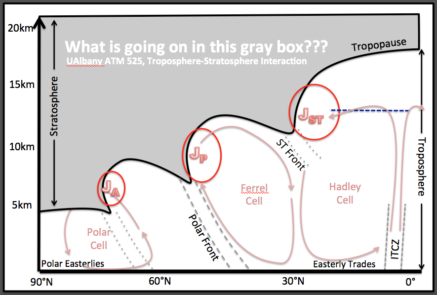 zonal cross section