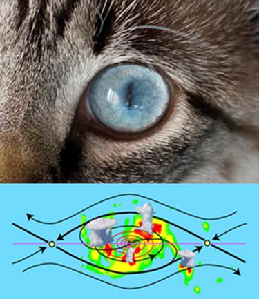 Cat's eye pattern in tropical cyclogenesis