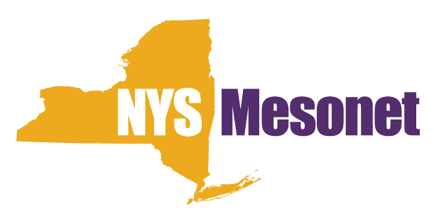 NYSM Logo