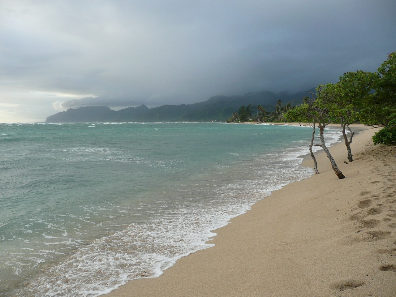 Mahalo to the contributors of Pixabay