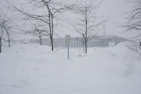 University at Albany - State
      quad parking lot during a snowstorm
