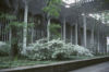 image link to
view of Earth Science building Univ at Albany podium