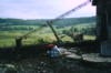 real geologists map every outcrop