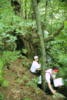 there is some outcrop!