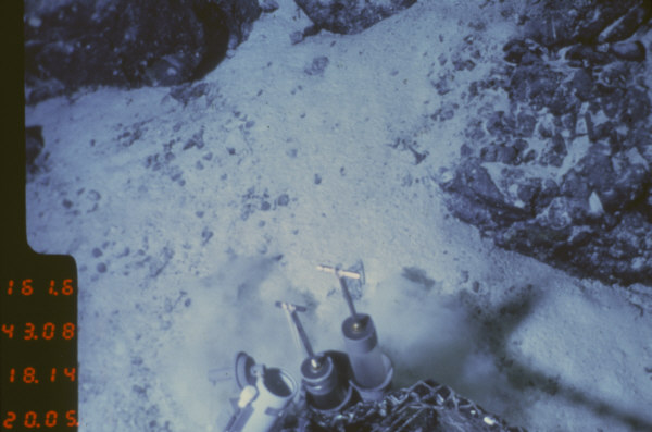 calcareous ooze lapping
      onto basaltic outcrop and talus