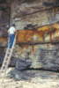 thumbnail link
        image