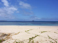 Allisons Island, Nomuka Group,
          Tonga 2004