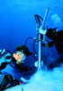 Brad drilling at Clipperton Atoll -
          link to 34K .jpg