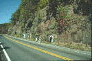 Stratigraphy
          class in the Catskill Devonian - 4.0 K jpg link to 64K jpg