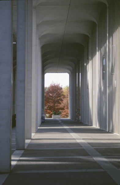 view of Univ at Albany podium colonnade; Business building looking west