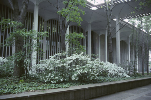 view of Earth Science building Univ at Albany podium