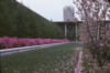 image link to view of magnolia garden in Univ at Albany podium